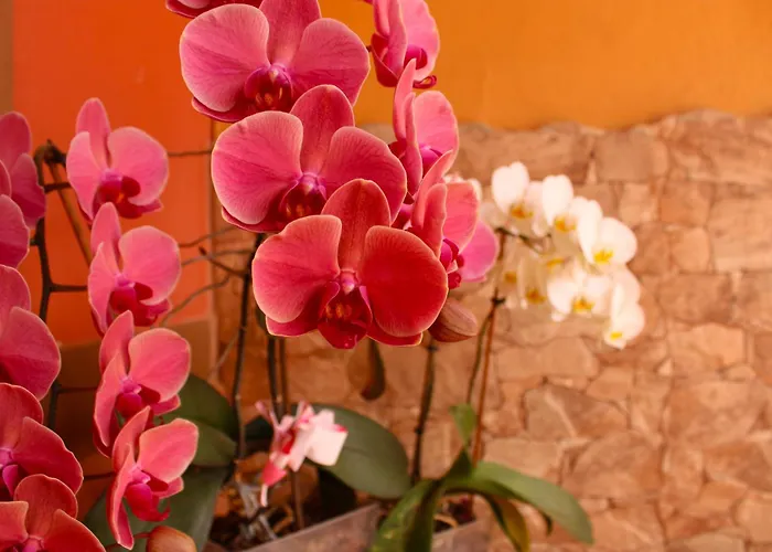 Bubela By Sea There Fuerteventura 別荘