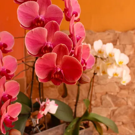 Bubela By Sea There Fuerteventura 펜션